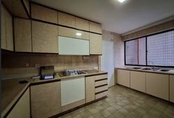 The Cairnhill (D9), Condominium #558345721